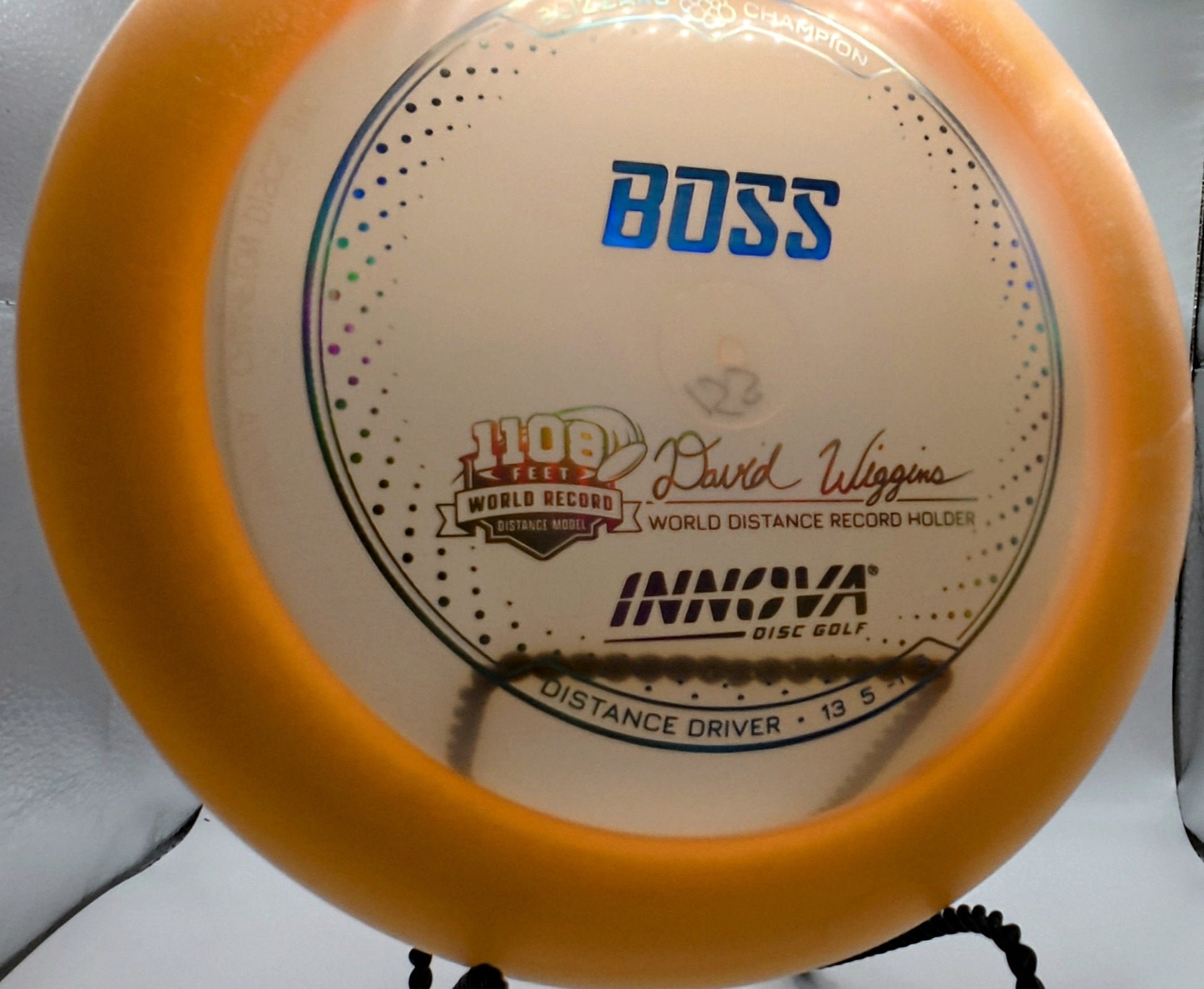 Blizzard Champion Boss