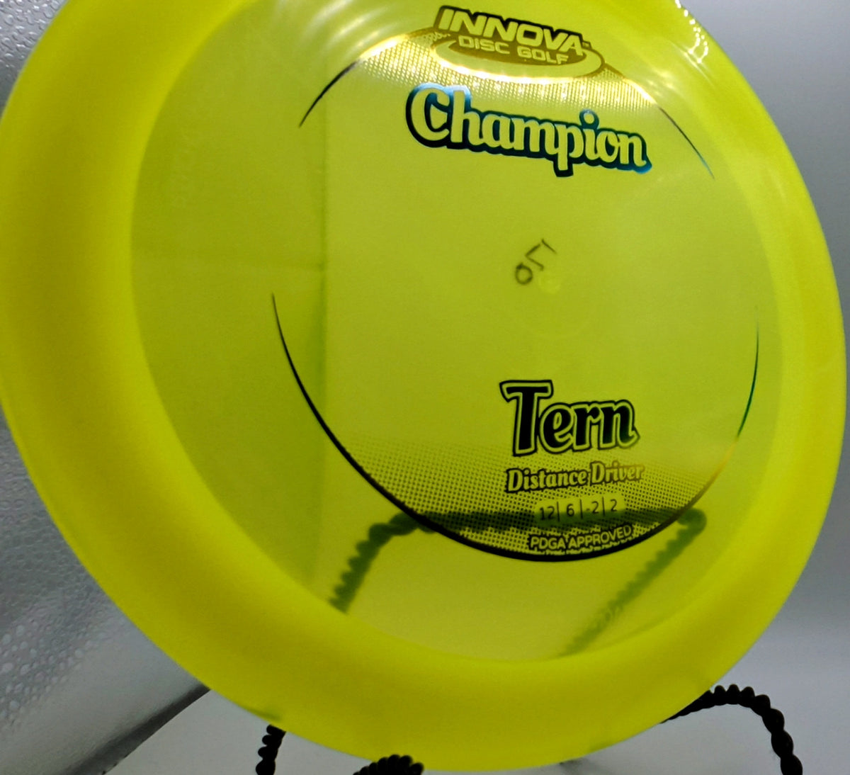 Champion Tern