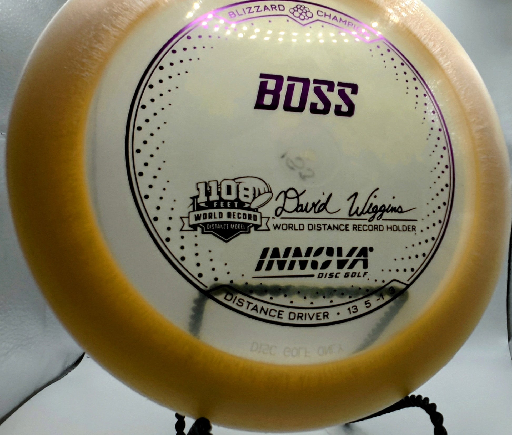 Blizzard Champion Boss