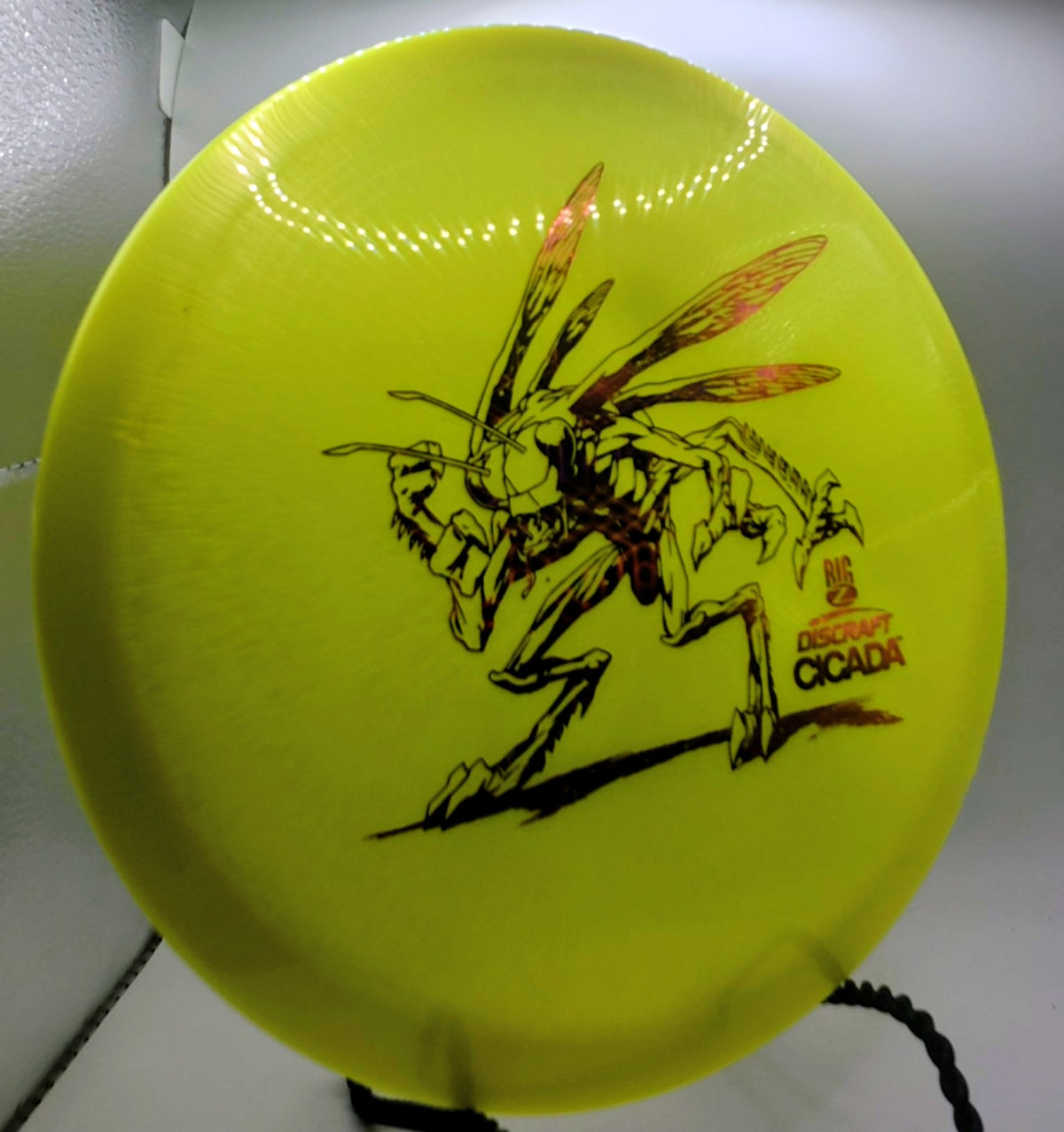 Big Z Cicada